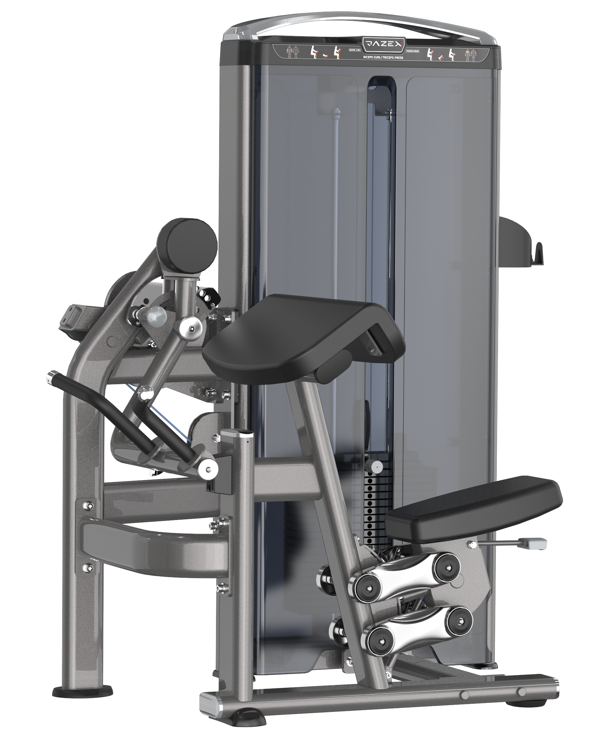 Biceps/Triceps 